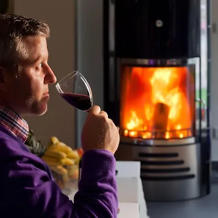 Domizil Am Ostseewald - Silberweide Mit Sauna, Kamin Und Sehr Ruhig Gelegen Appartamento